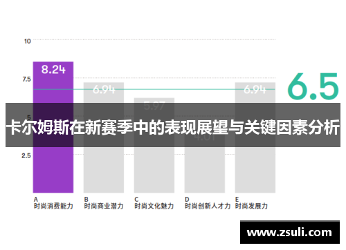 卡尔姆斯在新赛季中的表现展望与关键因素分析