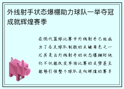 外线射手状态爆棚助力球队一举夺冠成就辉煌赛季